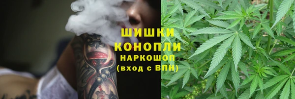 spice Магас