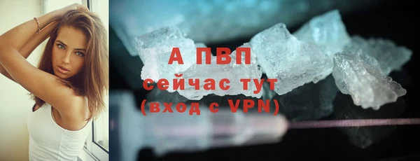 spice Магас