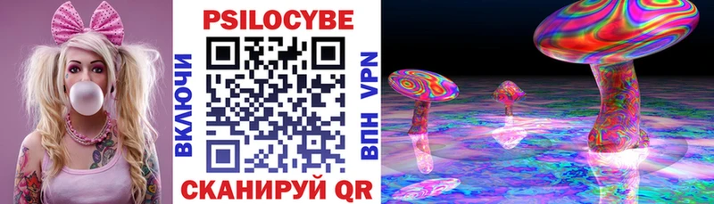 Псилоцибиновые грибы Cubensis  как найти наркотики  Яхрома 